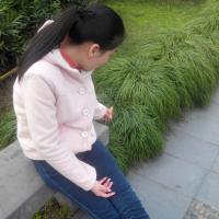 /photo/615908/69 69/img_20130404_152218_1_8_small.jpg